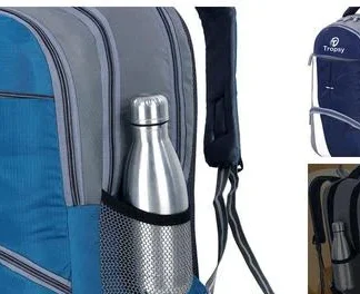 Voguish Fancy Women Backpacks