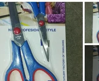 Fancy Kitchen Scissors