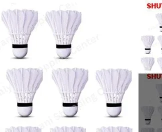 Elite Shuttles