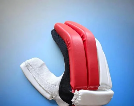 classy Cricket Gloves - Image 2
