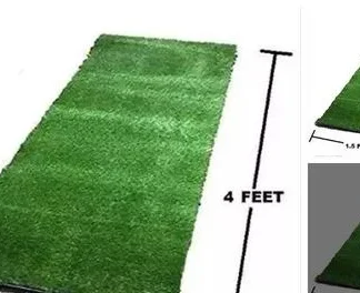 Stylish Grass Carpets