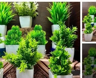 Attractive Artificial Plant, Flower and Shrubs