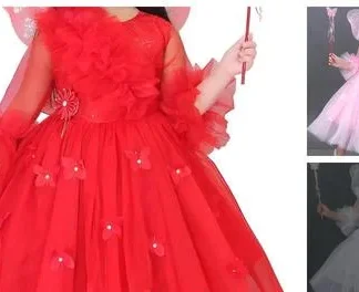 Net Frocks & Dresses