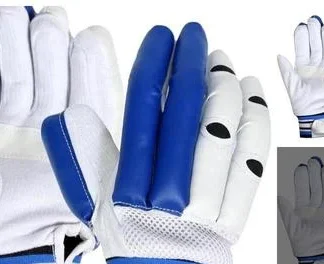 New Cricket Gloves