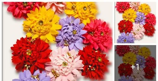Wonderful Women Women Hair Clips &