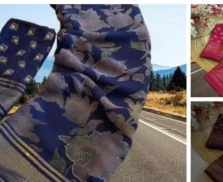 Aagyeyi Petite Sarees